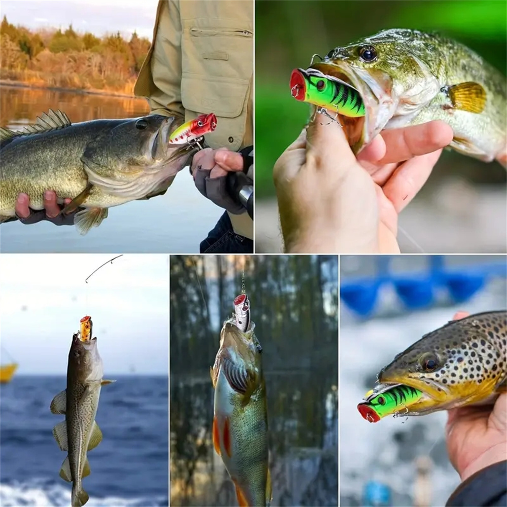 5Pcs Popper Fishing Lures 3d E - 3D Printing Lure 评论和价格