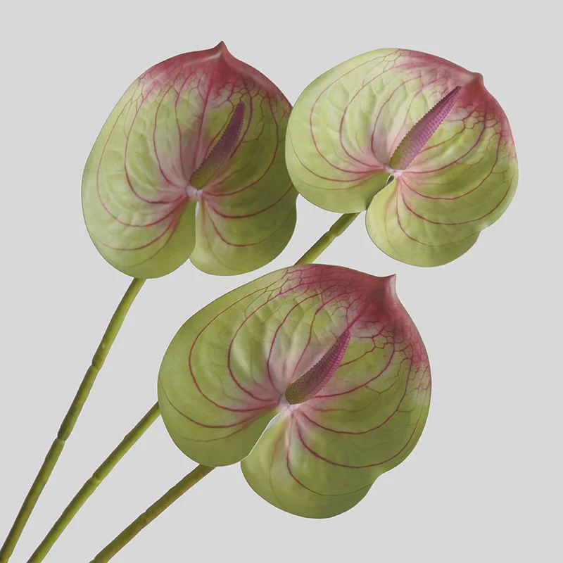 Simulated Flower Living Room H - 3D Printing Simulator 评论和价格