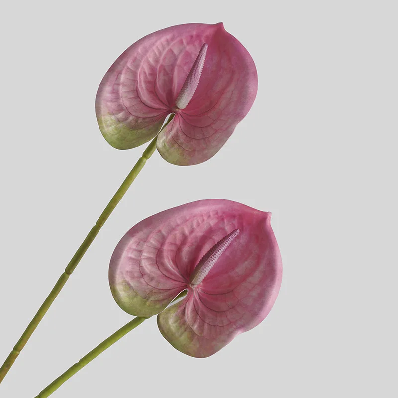 Simulated Flower Living Room H - 3D Printing Simulator 评论和价格